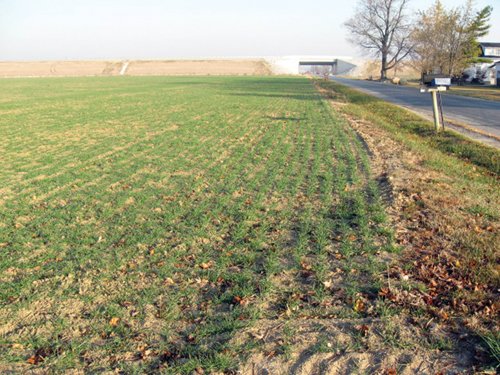 Property photo 18 - 60 Acres Offered in 2 Tracts